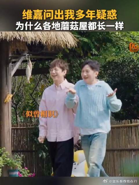 维嘉：为什么每一季蘑菇屋都一模一样？