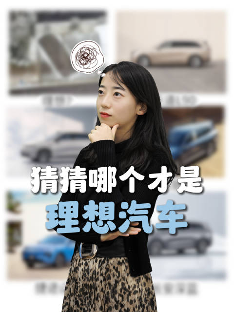 猜猜哪个是理想汽车？