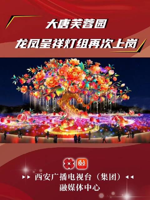 大唐芙蓉园龙凤呈祥灯组再次上岗
