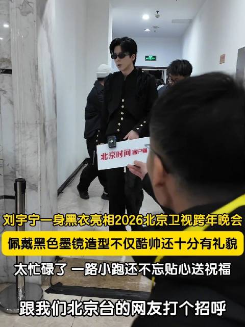 刘宇宁墨镜造型又帅又暖