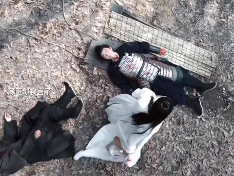 顾玉腹藏军令谢淮安伤藏信息，长安二十四计双计护国