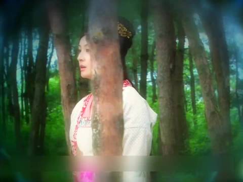 看到最后才发现，所有人的存在都是为了金牡丹下凡历劫