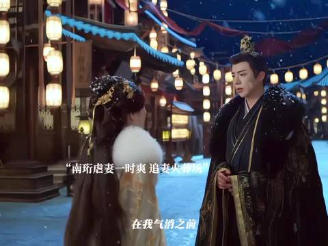 南珩虐妻后追妻遇阻全员助攻