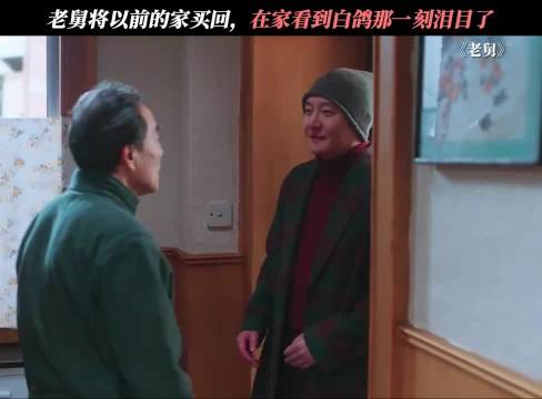 看到白鸽那一刻，就真的像是舅妈回来了