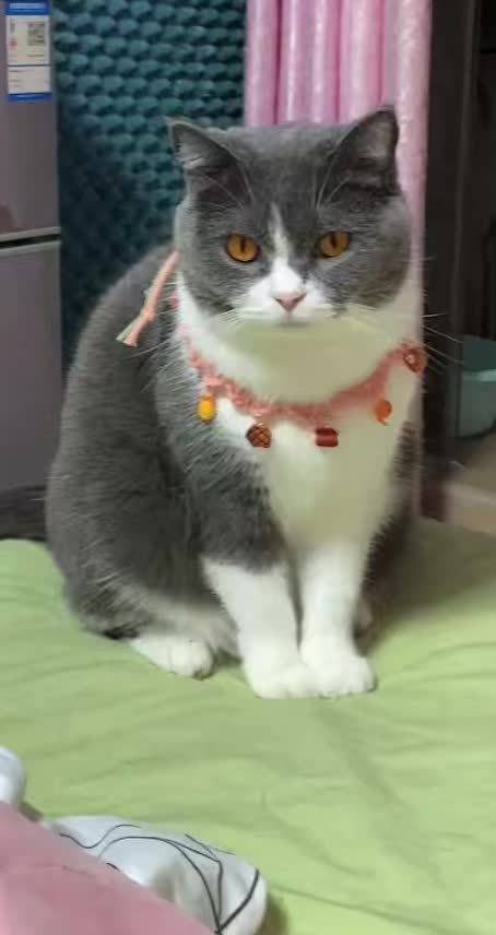 哥哥 想坚果了是不 嘿嘿 给你看看俺家的