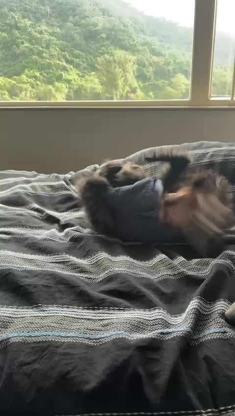 笑死我了@肖战工作室