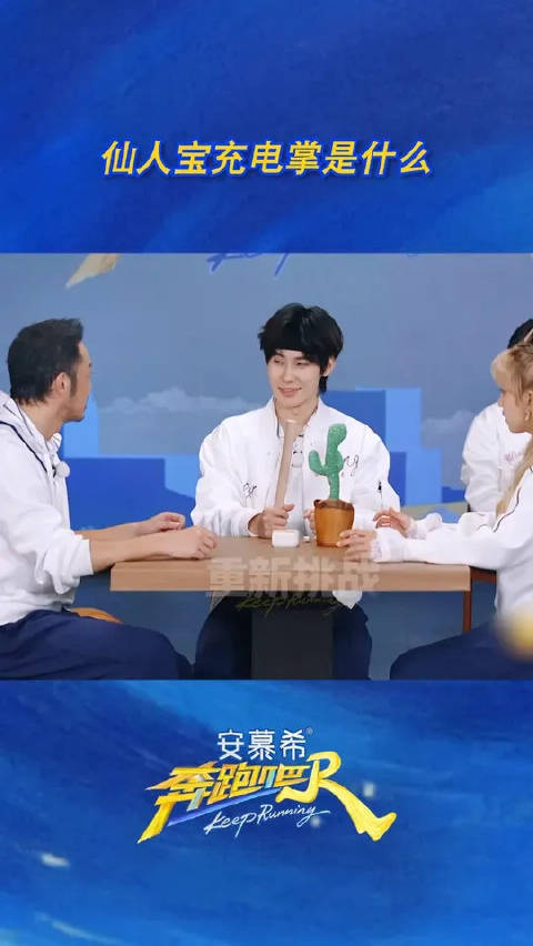 仙人宝充电掌是什么