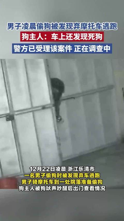 男子凌晨偷狗被发现弃摩托车逃跑 狗主人：车上还发现死狗