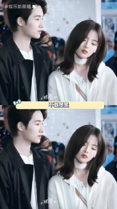 满分导演个满分选角 猫的树的权威我后知后觉