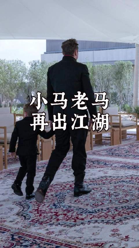 马斯克携子访阿联酋，政商共议新能源合作