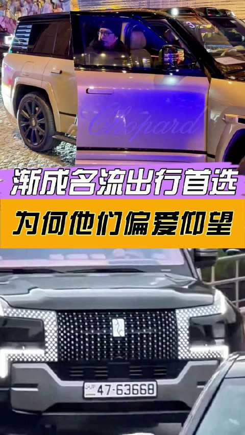 渐成名流出行首选，为何他们偏爱仰望 驾