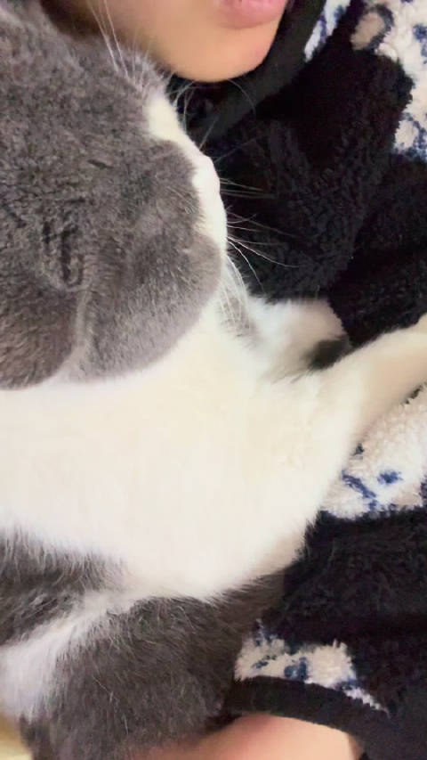 谁家摩托车 快来开走