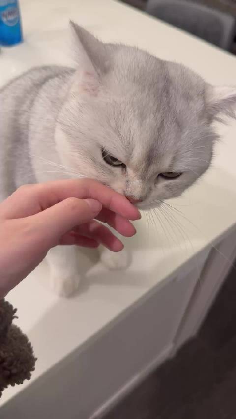 又来一辆黏人卡车