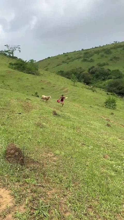 两驱的始终干不过四驱的