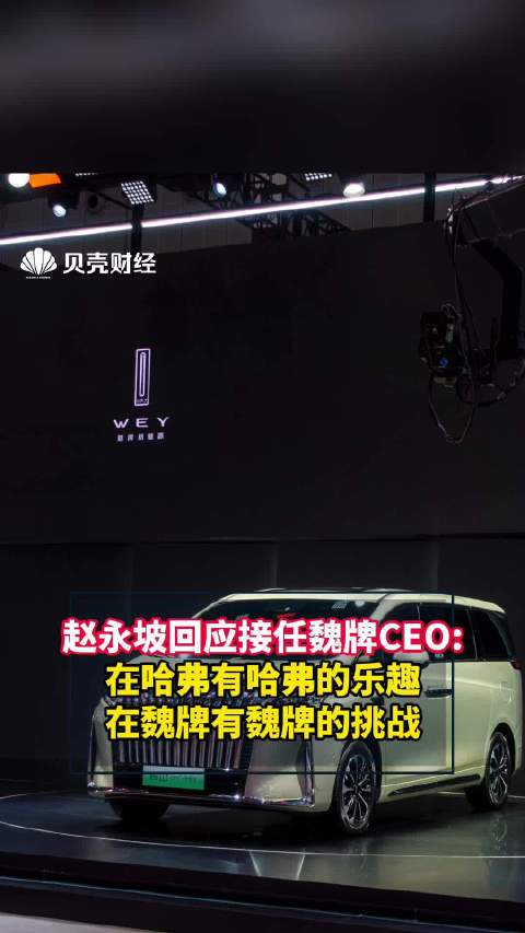 赵永坡回应接任魏牌CEO