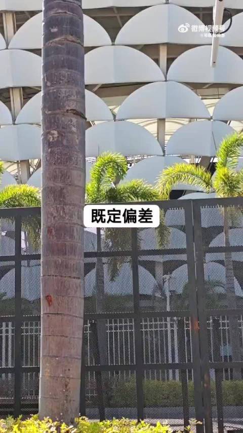 张真源新音彩排路透曝光，月之浮想舞台引期待