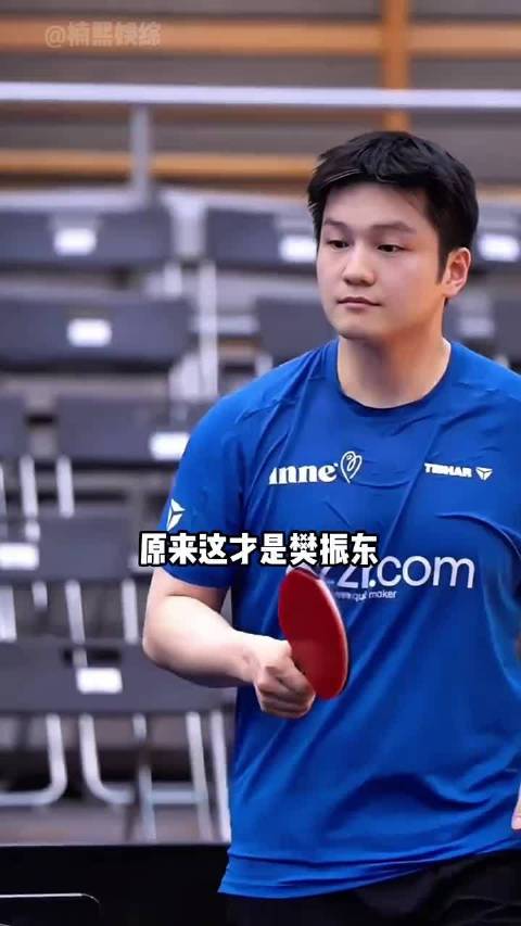 樊振东出征德甲联赛，110个冠军彰显清醒选择