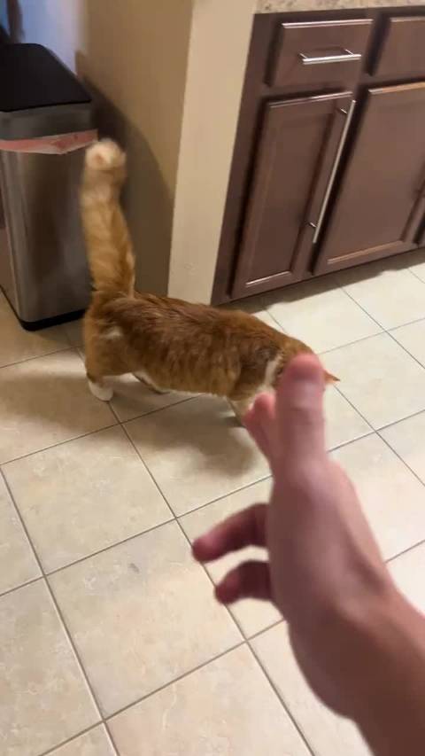 有点像奥斯卡影后