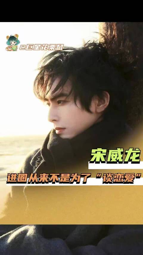 宋威龙回应被评像木头，称木头燃烧更久