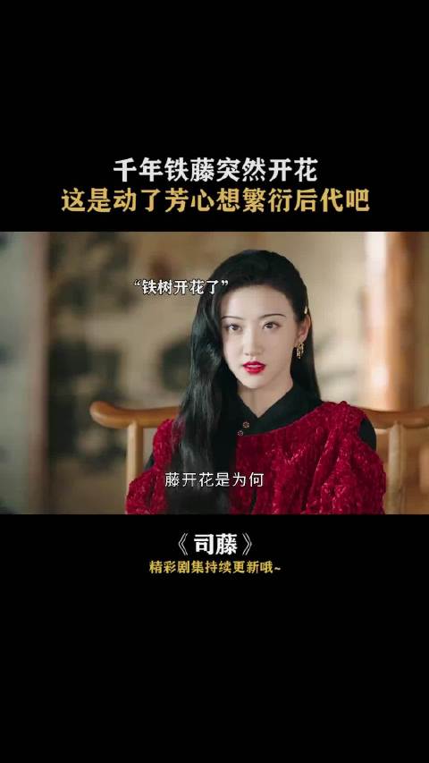 铁藤开花，没想到司藤也会动了凡心啊~景甜 张彬彬