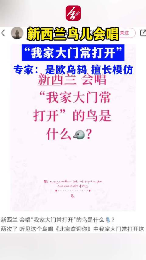 合肥专家解读奥运小鸟是欧乌鸫