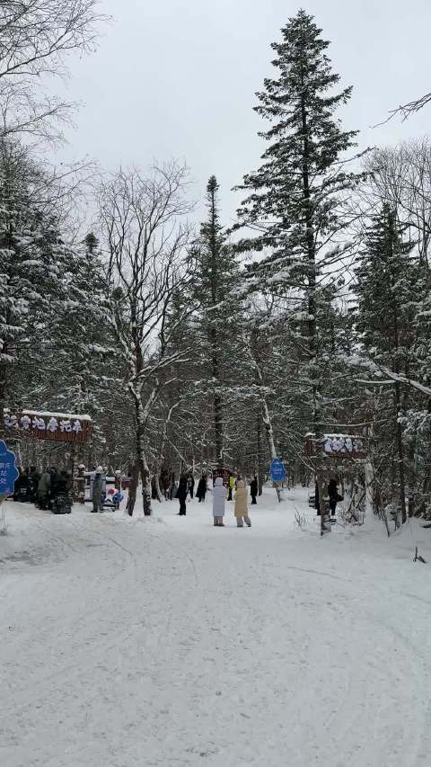 长白山老里克湖冰雪秘境邀客体验雪地摩托、雾凇穿行