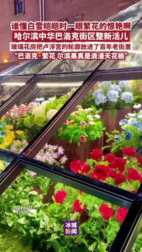 哈尔滨中华巴洛克街区玻璃花房重现卢浮宫轮廓