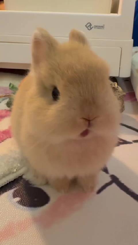 美好的周三早上，给大家带来一段李沛恩（本体版）吃播缓解上班的疲惫