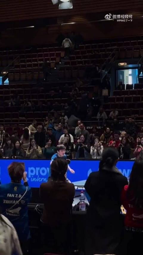 樊振东德甲打球带动德国小城乒乓热