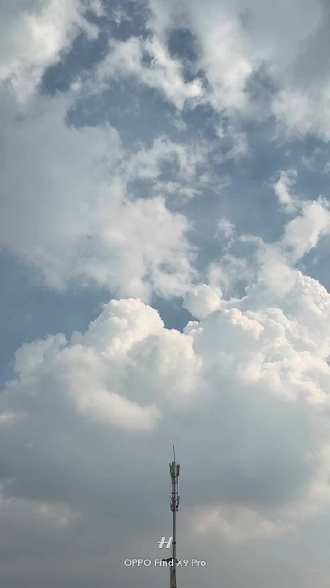 专家建议不必追赶太阳，做自己的萤火虫