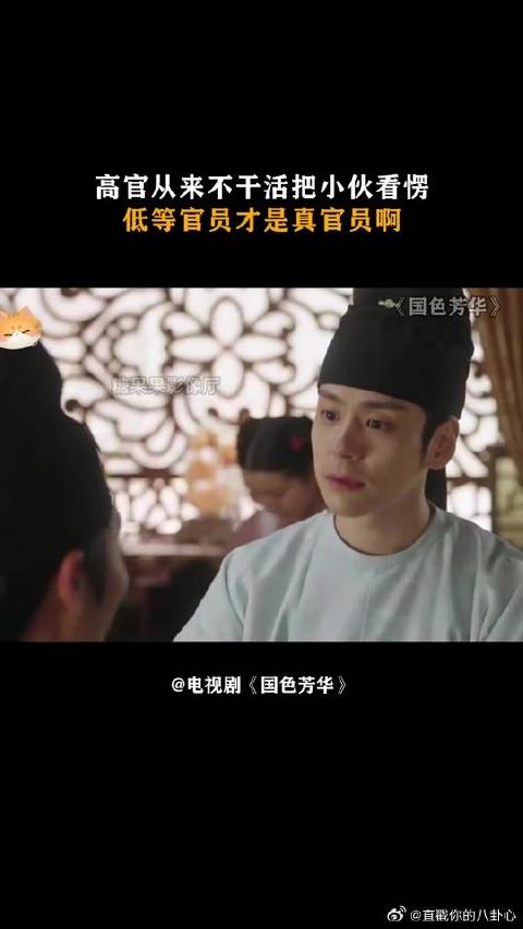 高官从来不干活把小伙看愣，低等官员才是真官员啊