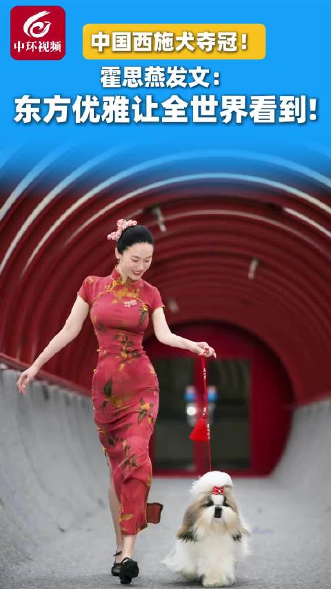 中国西施犬夺冠！霍思燕发文：东方优雅让全世界看到