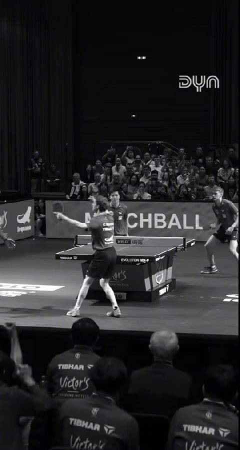 德媒镜头下的樊振东好有故事感