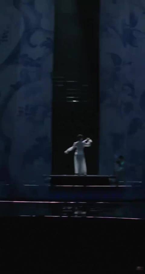 专业舞蹈演员的功力和职业演员的表演，完美