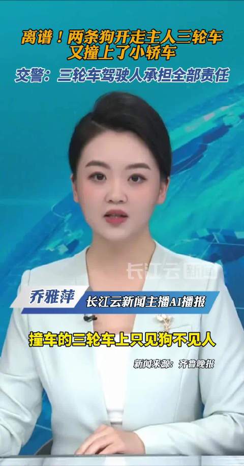 两只狗开走三轮车撞上轿车
