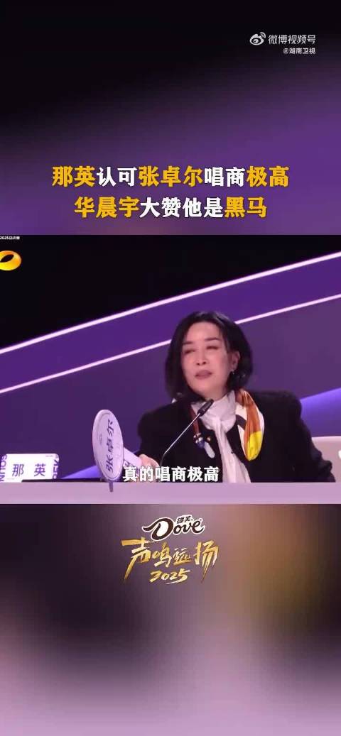 被那英华晨宇认证，实力！