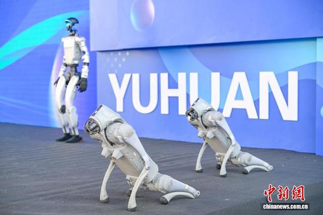 玉环企业生产的机器人。玉环市委宣传部供图