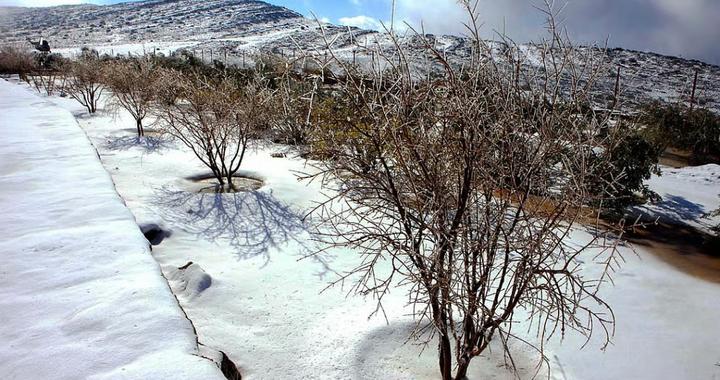 沙特迎来罕见降雪后，阿联酋也会下雪吗？