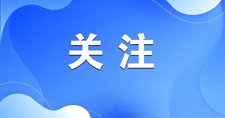 告别逐案苦读！Alpha系统重构法律检索，实现从“能查到”到“用得爽”