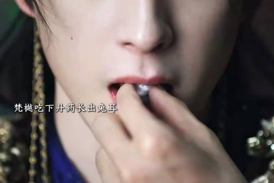 敖瑞鹏祝绪丹《白月梵星》男主服丹生兔耳