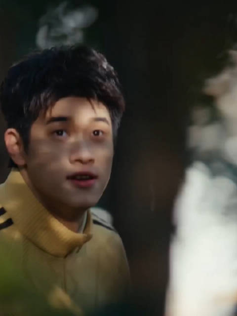 森林透出的阳光打到乐乐脸上 或明或暗 像森林里穿梭的小花豹