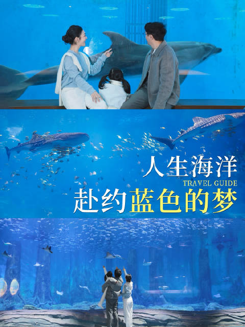 和家人把每一次出行，都变成探索爱的旅程！