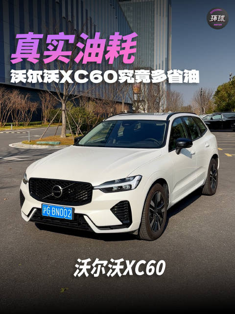 真实油耗是多少？