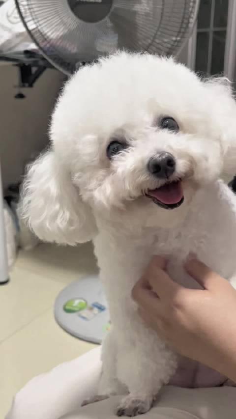 来一波妹妹的可爱暴击