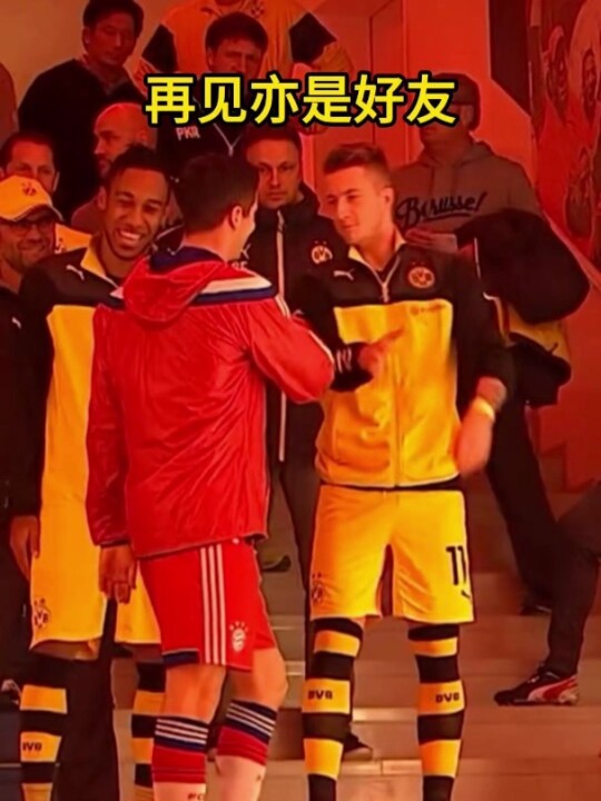 罗伊斯和莱万的相视一笑，是多少人的意难平呢