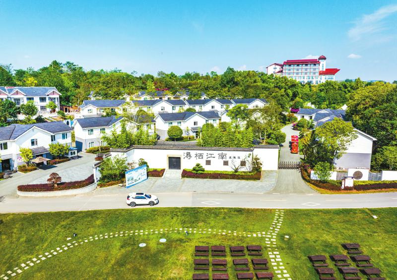 七年山海情 “浔”见新广安