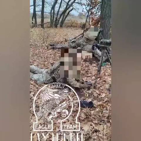 波克罗夫斯克方向，狙击手