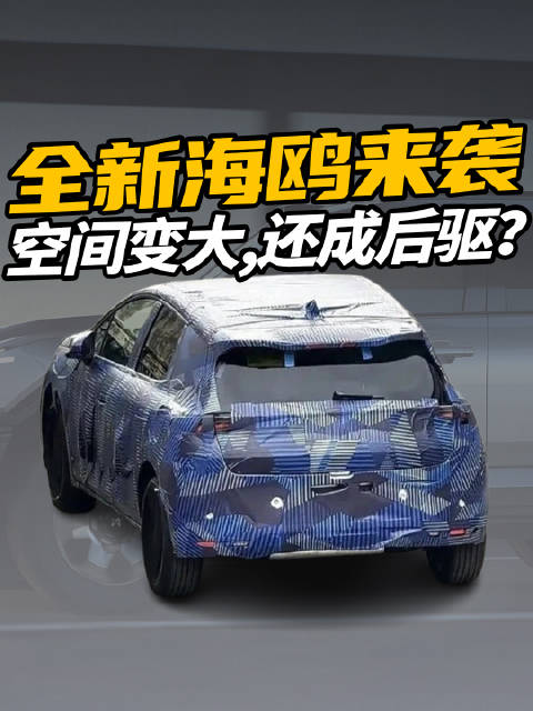 全新海豚登场，动力更强，续航更长