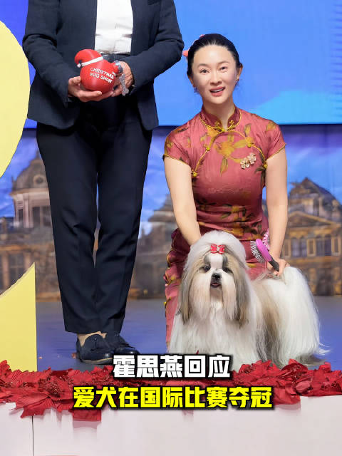 霍思燕回应爱犬在国际比赛夺冠