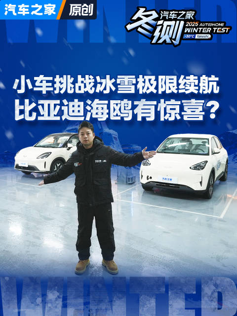 比亚迪海鸥挑战冰雪续航，2025汽车之家冬测揭晓